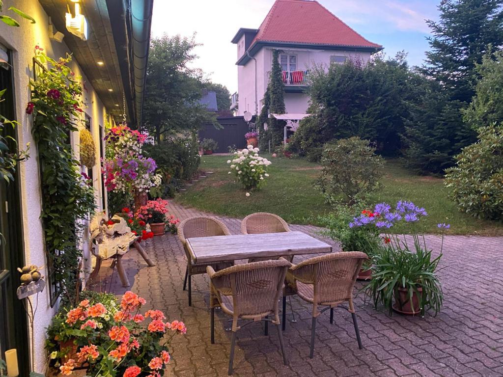 Ferienwohnungen Elsterblick باد إلستر المظهر الخارجي الصورة