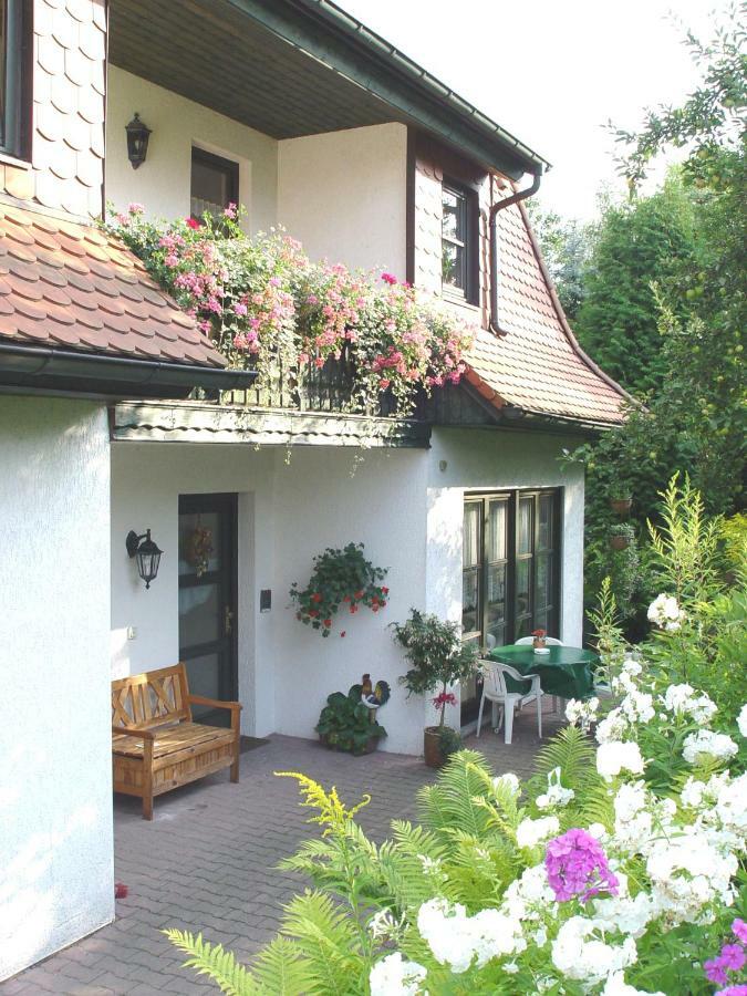 Ferienwohnungen Elsterblick باد إلستر المظهر الخارجي الصورة